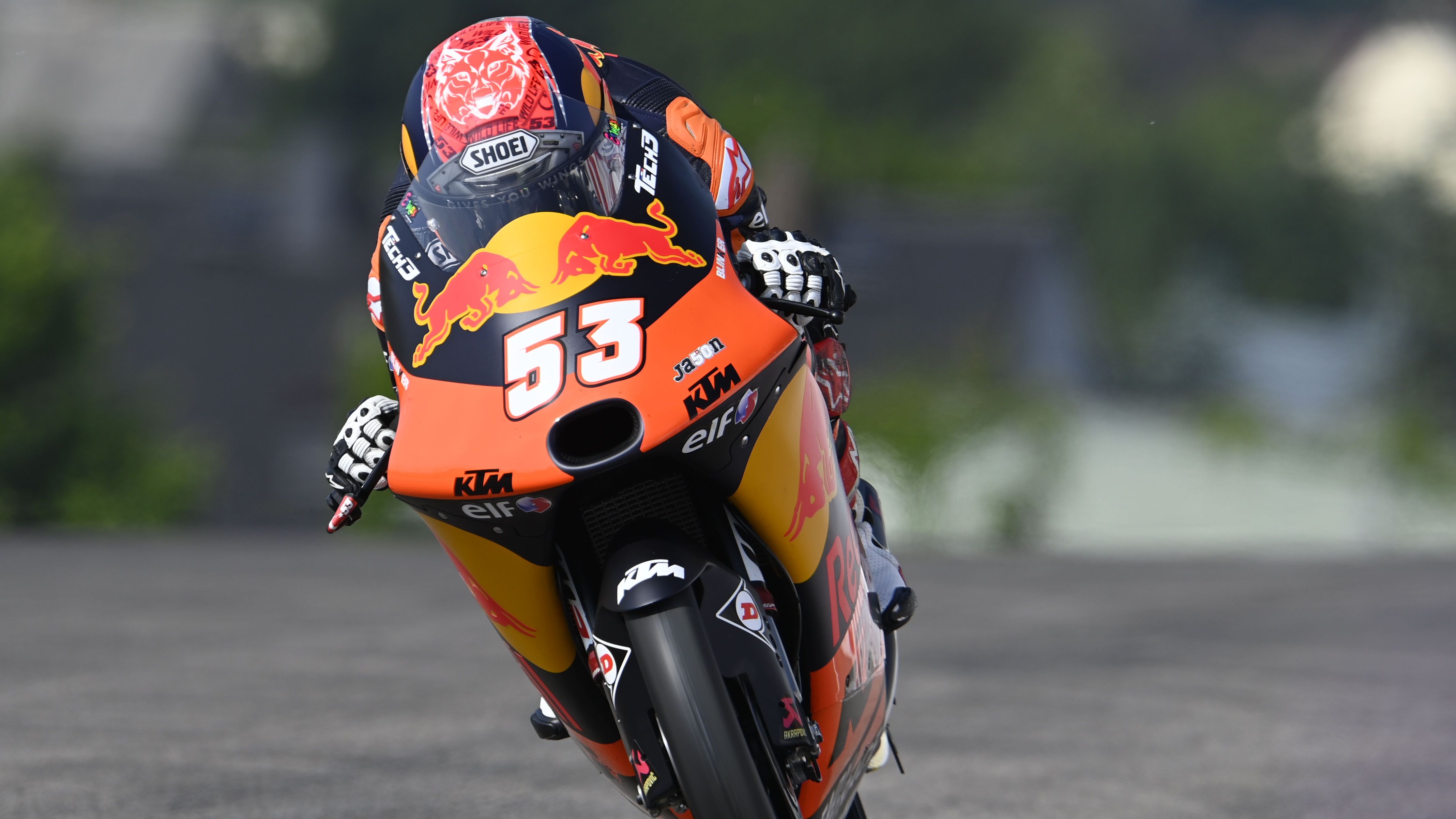 Öncü Almanya'da 16. Oldu